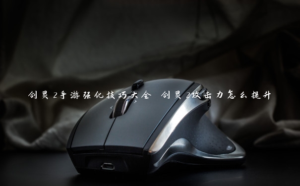 剑灵2手游强化技巧大全 剑灵2攻击力怎么提升 剑灵2手游强化技巧大全 剑灵2攻击力怎么提升