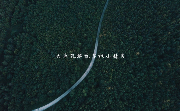 大鼻孔解说掌机小精灵 大鼻孔解说掌机小精灵