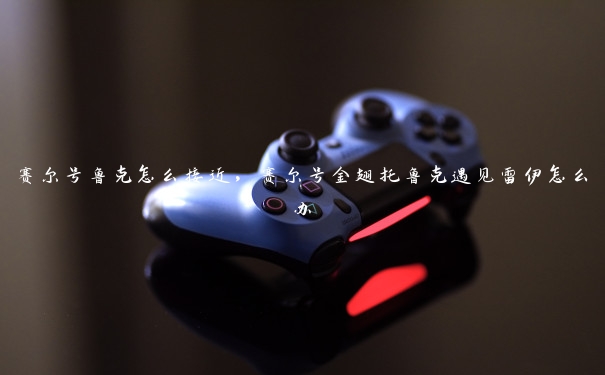 赛尔号鲁克怎么接近,赛尔号金翅托鲁克遇见雷伊怎么办 赛尔号鲁克怎么接近,赛尔号金翅托鲁克遇见雷伊怎么办