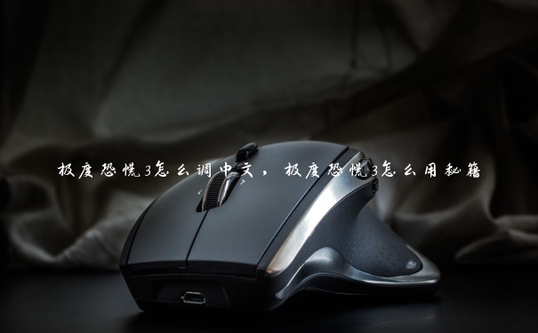 极度恐慌3怎么调中文,极度恐慌3怎么用秘籍 极度恐慌3怎么调中文,极度恐慌3怎么用秘籍