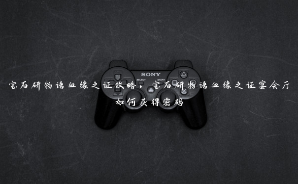 宝石研物语血缘之证攻略,宝石研物语血缘之证宴会厅如何获得密码 宝石研物语血缘之证攻略,宝石研物语血缘之证宴会厅如何获得密码