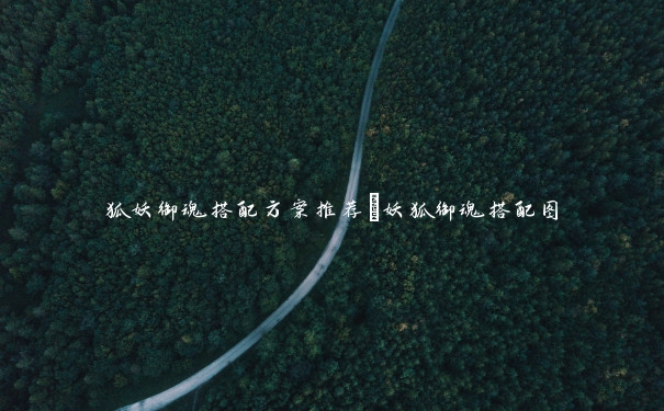 狐妖御魂搭配方案推荐_妖狐御魂搭配图 狐妖御魂搭配方案推荐_妖狐御魂搭配图
