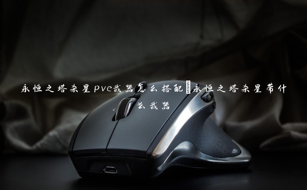 永恒之塔杀星pve武器怎么搭配 永恒之塔杀星带什么武器 永恒之塔杀星pve武器怎么搭配 永恒之塔杀星带什么武器