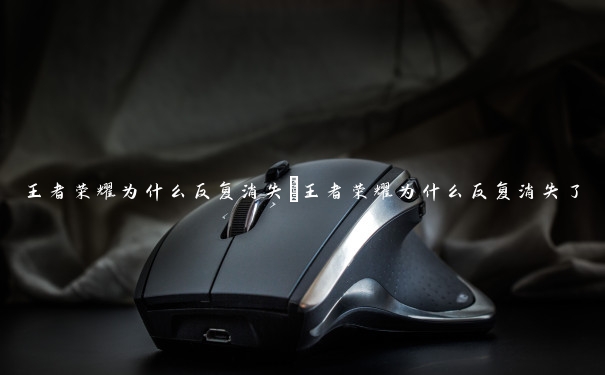 王者荣耀为什么反复消失 王者荣耀为什么反复消失了 王者荣耀为什么反复消失 王者荣耀为什么反复消失了