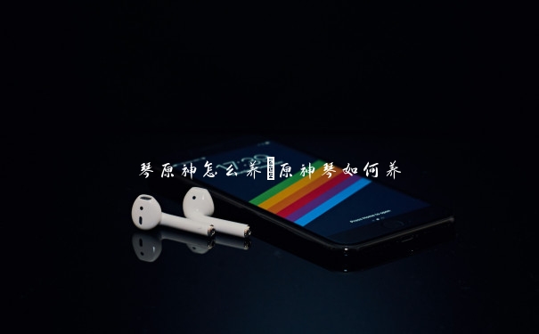 琴原神怎么养 原神琴如何养 琴原神怎么养 原神琴如何养