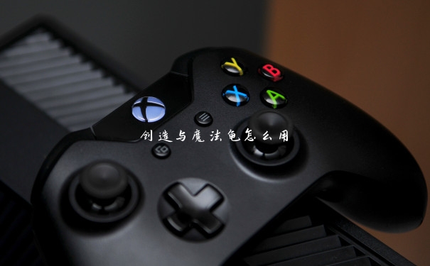 创造与魔法龟怎么用 创造与魔法龟怎么用