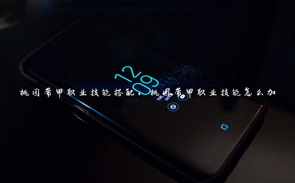 桃园带甲职业技能搭配,桃园带甲职业技能怎么加 桃园带甲职业技能搭配,桃园带甲职业技能怎么加