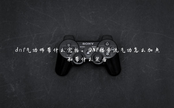 dnf气功师带什么宠物，DNF猫拳流气功怎么加点和带什么装备