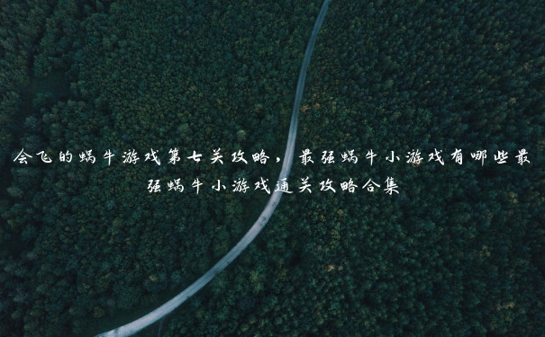 会飞的蜗牛游戏第七关攻略,最强蜗牛小游戏有哪些最强蜗牛小游戏通关攻略合集 会飞的蜗牛游戏第七关攻略,最强蜗牛小游戏有哪些最强蜗牛小游戏通关攻略合集