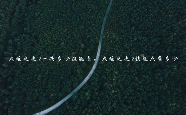 火炬之光2一共多少技能点,火炬之光2技能点有多少 火炬之光2一共多少技能点,火炬之光2技能点有多少